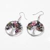 Natural Multicolor Tourmaline Dangle Earrings EJEW-P136-B04-1