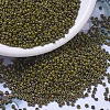 MIYUKI Round Rocailles Beads X-SEED-G007-RR4519-1