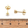 304 Stainless Steel Stud Earrings EJEW-I229-03G-A-4