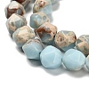 Dyed Natural Howlite Imitation Shoushan Stone Beads Strands G-G203-08F-4