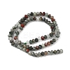 Natural African Bloodstone Beads Strands G-D344-A01-4