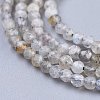 Natural Labradorite Beads Strands X-G-R475-025A-3