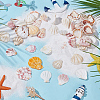 48Pcs Natural Shell Crafts DJEW-AR0001-12-4