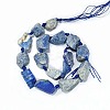 Natural Lapis Lazuli Beads Strands G-G697-E09-01-2