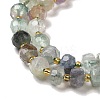 Natural Fluorite Beads Strands G-P508-A07-01-4