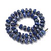 Natural Lapis Lazuli Beads Strands G-L642-J08-01-3