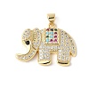 Brass Micro Pave Colorful Cubic Zirconia Pendants ZIRC-I071-01G-02-1
