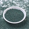 MIYUKI Round Rocailles Beads SEED-JP0008-RR4506-2