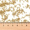 Cylinder Seed Beads SEED-H001-C05-3