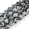 Dyed Natural Sesame Jasper Beads Strands G-T139-8mm-47J-4
