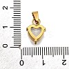304 Stainless Steel Micro Pave Cubic Zirconia Pendants STAS-B086-13G-04-3