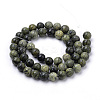 Natural Serpentine/Green Lace Stone Beads Strands G-S259-15-8mm-1-2