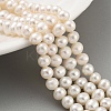 Natural Cultured Freshwater Pearl Beads Strands PEAR-C003-13F-1