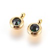 304 Stainless Steel Rhinestone Charms STAS-P237-10G-07-1