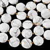 Natural Howlite Beads Strands G-A292-A03-01-5