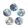 Natural Abalone Shell/Paua Shell Cabochons LS-SSHEL-L017-001-1