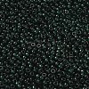 MIYUKI Round Rocailles Beads SEED-G008-RR0156-2