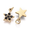 316 Surgical Stainless Steel Charms STAS-F256-024A-G-3
