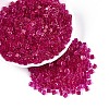Transparent Inside Colours Glass Seed Beads SEED-T007-11C-3