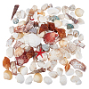 Natural Conch & Shell Beads SHEL-WH0005-01-1