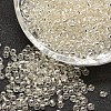 6/0 Transparent Glass Round Seed Beads LS-X-SEED-J010-F6-21-1