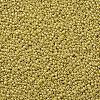 12/0 Glass Seed Beads SEED-A012-2mm-122-2