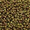 TOHO 6/0 Round Beads X-SEED-TR06-1209-3