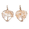 Natural Citrine Pendants G-T131-97-2