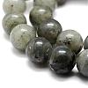 Natural Labradorite Bead Strands G-P256-01-10mm-3