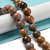 Natural Petrified Wood Round Bead Strands G-F266-08-12mm-7