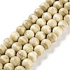 Natural Rainbow Alashan Agate Beads Strands G-NH0022-A04-01-1