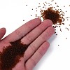 15/0 Transparent Czech Glass Seed Beads SEED-N004-004-18-5