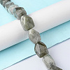 Natural Labradorite Beads Strands G-F743-04D-2