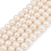 Natural Cultured Freshwater Pearl Beads Strands PEAR-I007-07J-11A-2