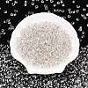 6/0 Baking Paint Transparent Fringe Glass Seed Beads SEED-N006-06A-3