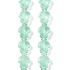Transparent Glass Enamel Beads Strands GLAA-B021-06E-1