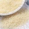 MIYUKI Round Rocailles Beads SEED-G009-RR2217-1