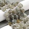 Natural Labradorite Bead Strands G-C116-A10-01-2