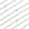 10Pcs 667 Stainless Steel Paperclip Chain Necklaces NJEW-BBC0001-48B-P-1