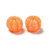 Opaque Resin Imitation Food Decoden Cabochons RESI-B015-06-3