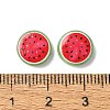 Fruit Series Opaque Resin Cabochons CRES-Q006-01E-3