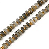 Natural Labradorite Beads Strands G-F796-A05-01-2