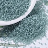 MIYUKI Delica Beads SEED-MY11-DB0385-1