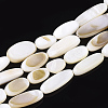 Natural Freshwater Shell Beads Strands X-SHEL-T011-03-1