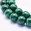 Natural Malachite Beads Strands G-O166-06-10mm-3