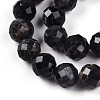 Natural Cordierite/Iolite/Dichroite Beads Strands G-S345-10mm-27-4