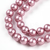 Baking Paint Pearlized Glass Pearl Bead Strands HY-N002-3mm-C01-4