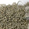 TOHO Round Seed Beads SEED-JPTR11-0369FM-1