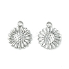 Non-Tarnish 304 Stainless Steel Charms LS-STAS-L269-062P-1