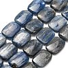 Natural Kyanite Beads Strands G-H335-I01-12x16mm-2